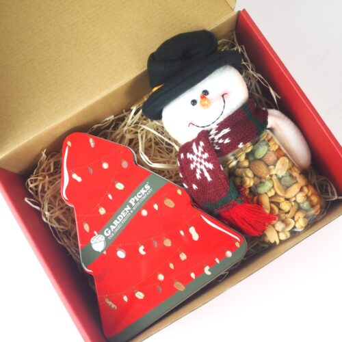 Christmas BOX - Snowman’s Delight Box